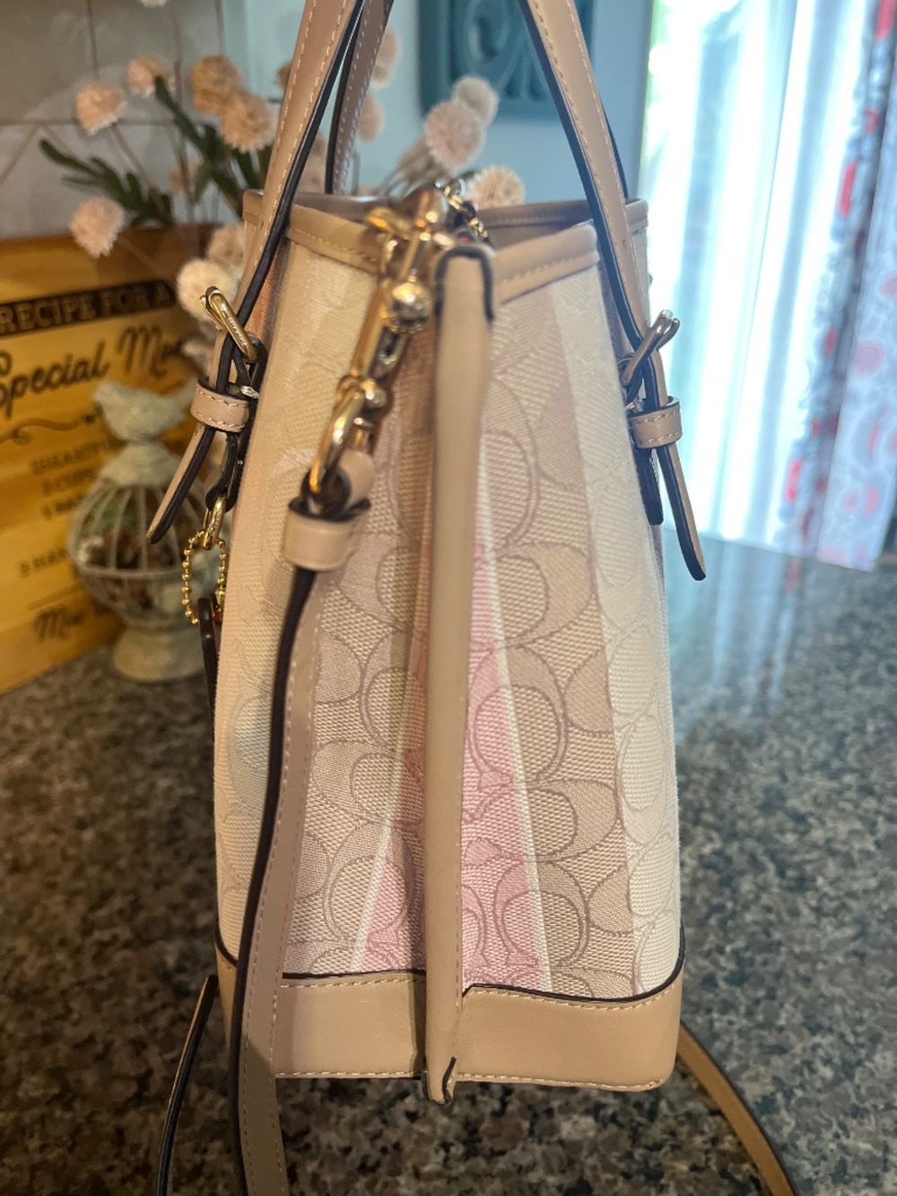 Coach Mollie 25 Signature Tote - Picture 7 of 8